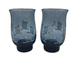 Vintage Set of 2 Blue Owl Drinking Glasses Tumblers Weighted Bottom